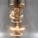 Nouveau Fulton LED 7 inch Brushed Satin Nickel Sconce Wall Light in Plated Smoke Glass, Nouveau
