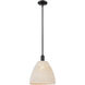 Downtown Urban Natural Ballston Dome 1 Light 11.75 inch Matte Black Mini Pendant Ceiling Light