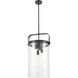 Pilaster 4 Light 13.38 inch Matte Black Pendant Ceiling Light in Clear Glass