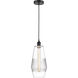 Edison Windham LED 7 inch Matte Black Mini Pendant Ceiling Light in Clear Glass