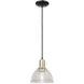 Arcadia Arietta 1 Light 8 inch Black Antique Brass Mini Pendant Ceiling Light