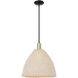 Natural Ballston Dome 1 Light 15.75 inch Black Antique Brass Mini Pendant Ceiling Light