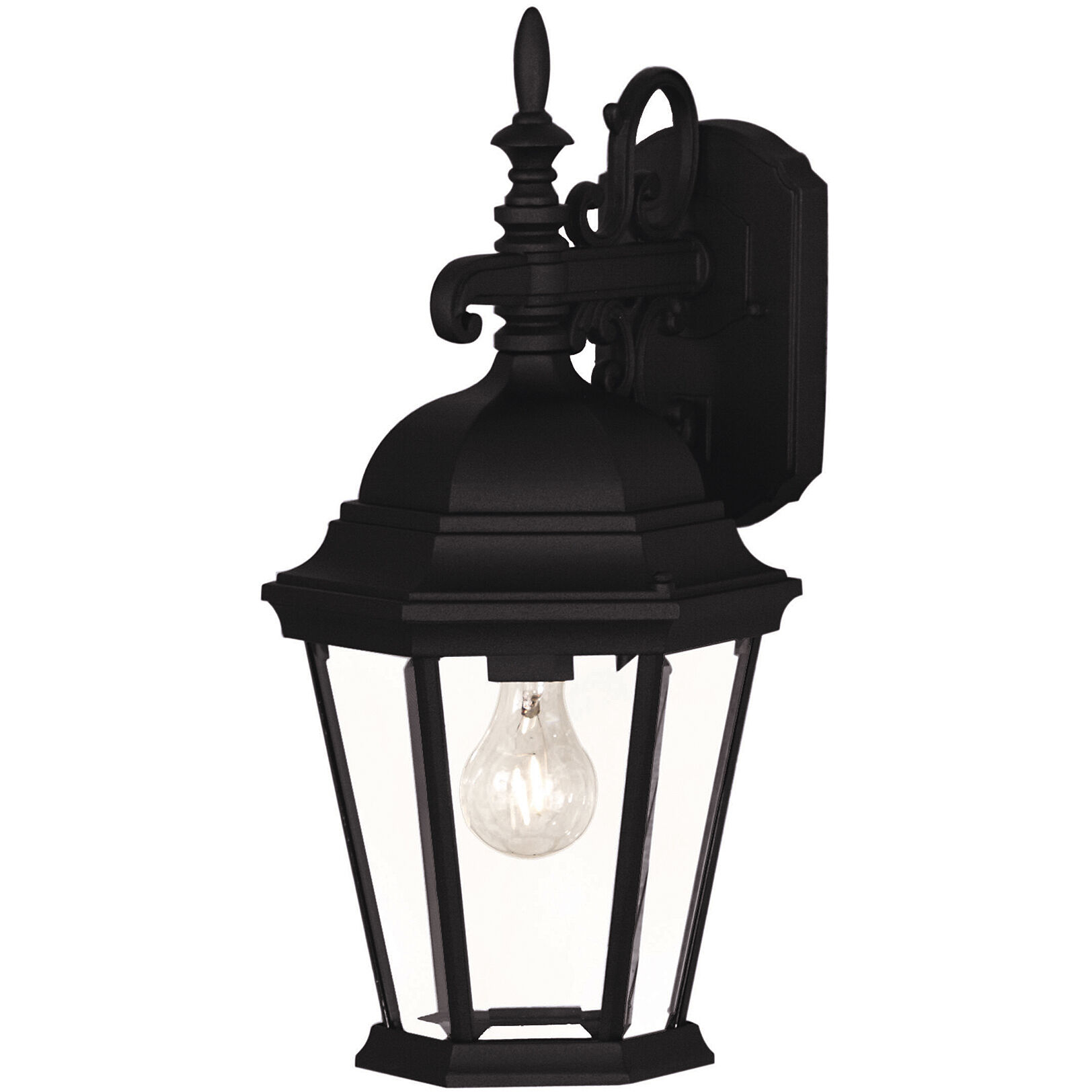 Transitional Outdoor Wall Lantern