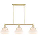 Luna 3 Light 41.75 inch Satin Brass Island Light Ceiling Light