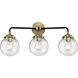 Nouveau Baldwin LED 20 inch Black Polished Nickel Chandelier Ceiling Light, Nouveau