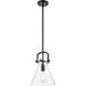 Downtown Urban Newton Cone 1 Light 10 inch Matte Black Mini Pendant Ceiling Light in Clear