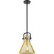 Newton Cone 1 Light 10 inch Matte Black Mini Pendant Ceiling Light in Mercury Glass