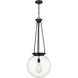 Beacon 1 Light 15.75 inch Matte Black Pendant Ceiling Light