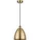 Edison Dome 1 Light 9 inch Antique Brass Mini Pendant Ceiling Light