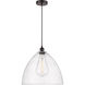 Edison Dome LED 16 inch Oil Rubbed Bronze Pendant Ceiling Light in Seedy Glass