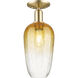 Brookhaven Flute 1 Light 7 inch Champagne Bronze Semi-Flush Mount Ceiling Light in Amber Glass