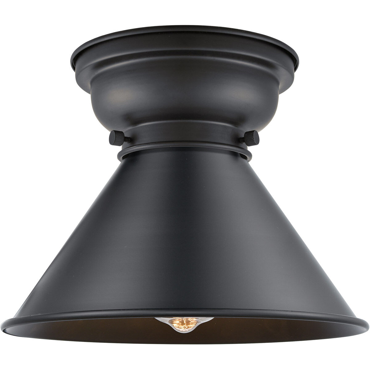 Aditi Briarcliff 1 Light 10 inch Matte Black Flush Mount Ceiling Light, Aditi