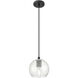 Crown Point 1 Light 5.88 inch Matte Black Pendant Ceiling Light in Seedy Glass