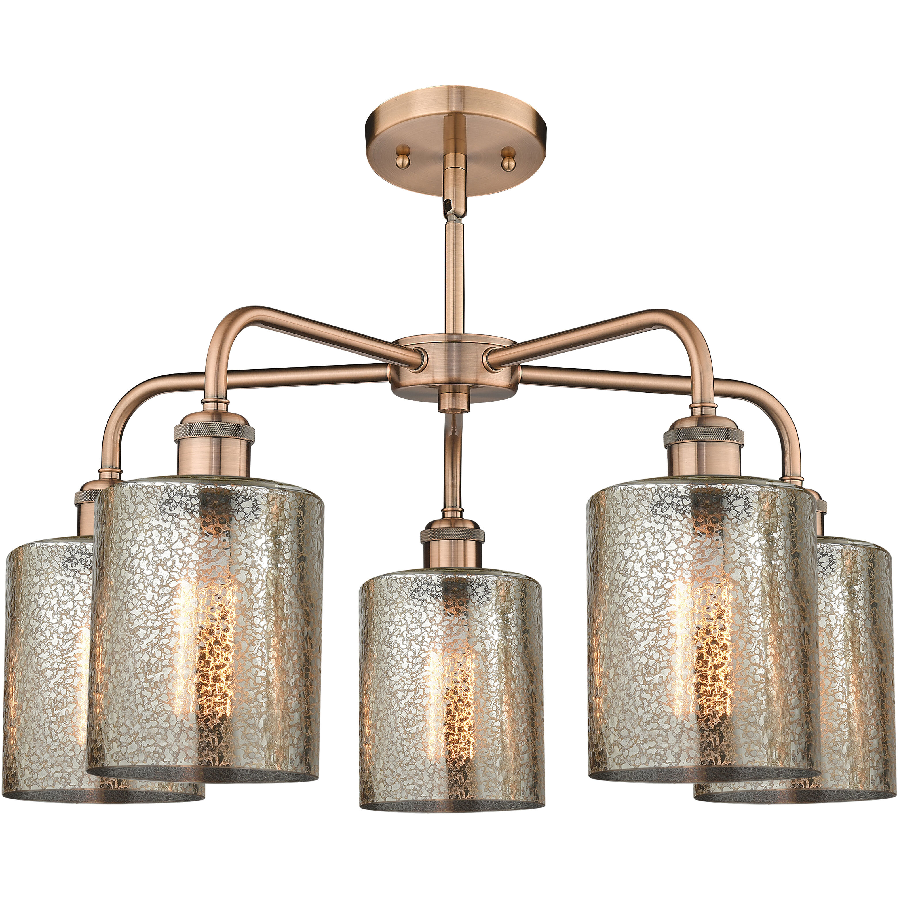 Cobbleskill 5 Light 23 inch Antique Copper Chandelier Ceiling Light in Mercury Glass