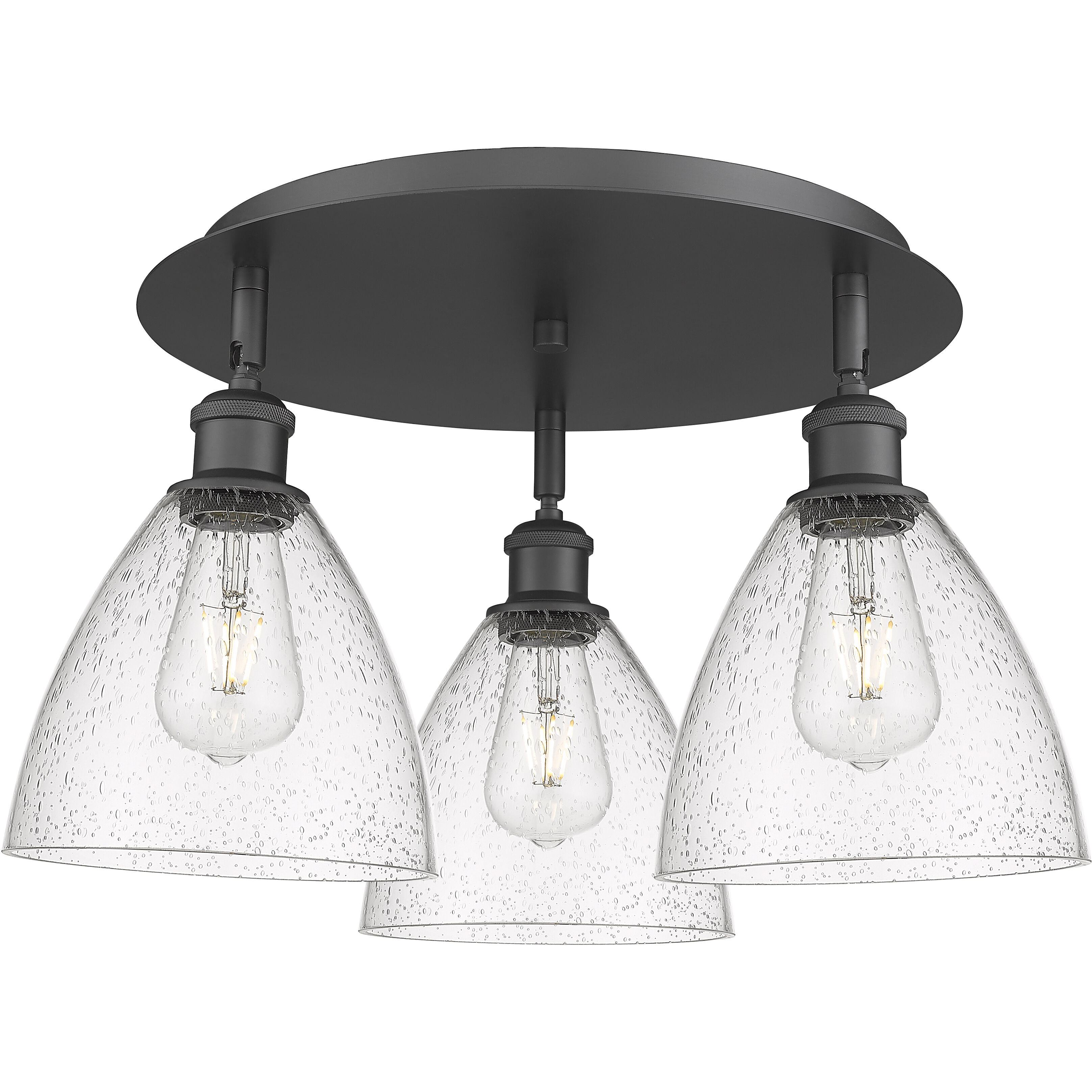 Bristol Glass 3 Light 19.25 inch Matte Black Flush Mount Ceiling Light in Seedy