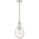 Salem 1 Light 8.50 inch Mini Pendant