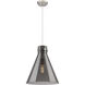 Newton Cone 1 Light 14.00 inch Pendant