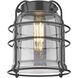 Franklin Restoration Bell Cage LED 6 inch Matte Black Mini Pendant Ceiling Light in Plated Smoke, Franklin Restoration