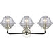 Nouveau Small Oxford LED 25.5 inch Black Polished Nickel Bath Vanity Light Wall Light in Seedy Glass, Nouveau