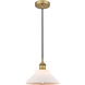 Edison Orwell LED 8 inch Brushed Brass Mini Pendant Ceiling Light