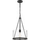 Marissa LED 12 inch Matte Black Mini Pendant Ceiling Light in Clear Glass