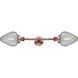 Franklin Restoration Geneseo 2 Light 17 inch Antique Copper Bath Vanity Light Wall Light, Franklin Restoration