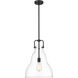 Haverhill LED 14 inch Matte Black Pendant Ceiling Light in Clear Glass