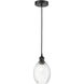Edison Preston 1 Light 6.25 inch Matte Black Mini Pendant Ceiling Light in Clear