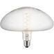 Vintage LED Mushroom Medium Base 5 watt 120 2200K LED Light Bulb