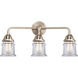 Nouveau 2 Small Canton LED 23.25 inch Black Polished Nickel Bath Vanity Light Wall Light in Clear Glass
