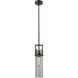 Utopia 1 Light 4.25 inch Matte Black Pendant Ceiling Light in Plated Smoke Glass