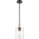 Paladin 1 Light 7.13 inch Mini Pendant
