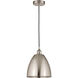 Edison Dome 1 Light 9 inch Brushed Satin Nickel Mini Pendant Ceiling Light