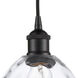Edison Waverly 1 Light 6 inch Matte Black Mini Pendant Ceiling Light