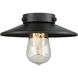 Nouveau 2 Railroad 1 Light 8 inch Black Antique Brass Mini Pendant Ceiling Light in Incandescent, Matte Black