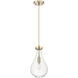 Owego 1 Light 7 inch Champagne Bronze Pendant Ceiling Light in Clear Glass