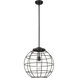 Lake Placid 1 Light 16 inch Matte Black Pendant Ceiling Light