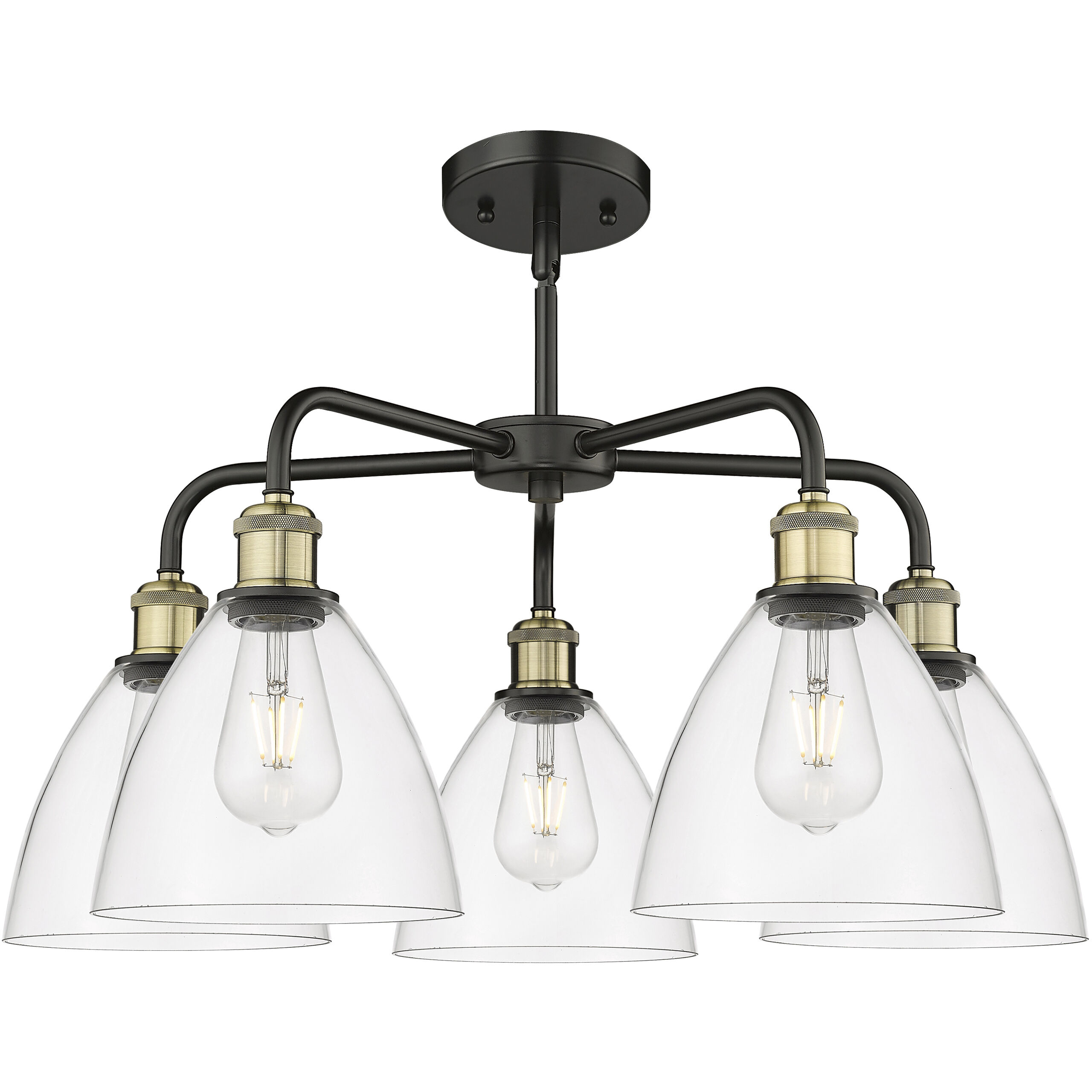 Bristol Glass 5 Light 25.5 inch Black Antique Brass Chandelier Ceiling Light in Clear Glass