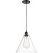 Edison Cone 1 Light 12 inch Matte Black Mini Pendant Ceiling Light