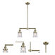 Franklin Restoration Small Canton 2 Light 21 inch Antique Brass Island Light Ceiling Light in Incandescent, Seedy Glass, Franklin Restoration