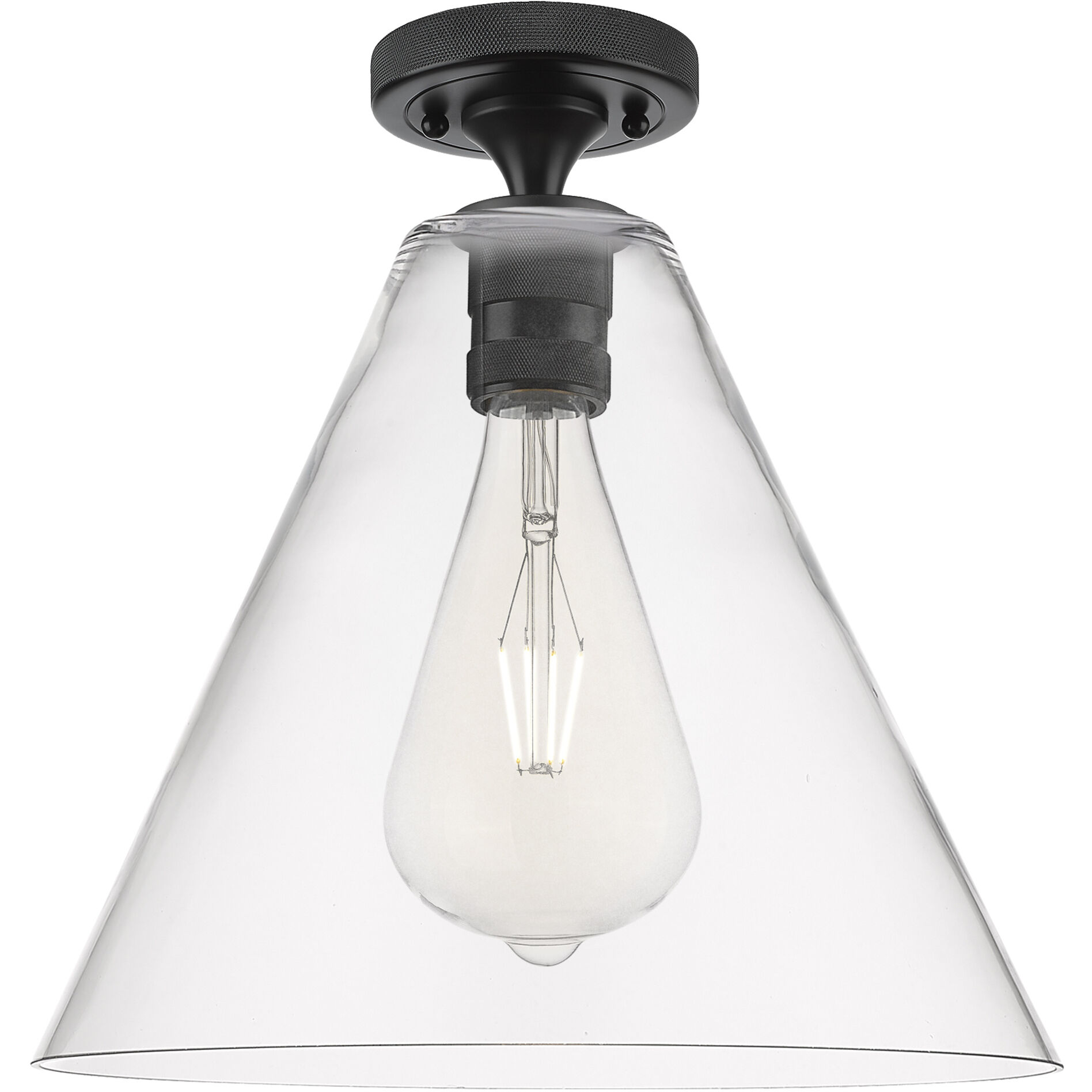 Crown Point 1 Light 12 inch Matte Black Flush Mount Ceiling Light in Clear Glass