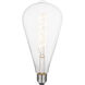 Vintage LED A125 Medium Base 5 watt 120 2200K LED Light Bulb