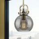 Newton Sphere 1 Light 8 inch Brushed Brass Mini Pendant Ceiling Light in Light Smoke Glass