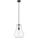 Fairfield LED 11.75 inch Matte Black Mini Pendant Ceiling Light in Clear Glass