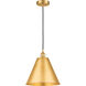 Edison Cone 1 Light 12 inch Satin Gold Mini Pendant Ceiling Light