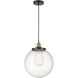 Beacon 1 Light 13.75 inch Black Antique Brass Mini Pendant Ceiling Light in Seedy Glass