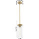 Downtown Urban Blakeley 1 Light 5 inch Satin Nickel Pendant Ceiling Light in Light Smoke Glass