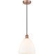 Edison Dome 1 Light 9 inch Antique Copper Mini Pendant Ceiling Light