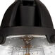 Nouveau 2 Small Bell LED 5 inch Matte Black Semi-Flush Mount Ceiling Light in Seedy Glass
