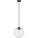 Tolland 1 Light 12 inch Matte Black Mini Pendant Ceiling Light in Seedy Glass